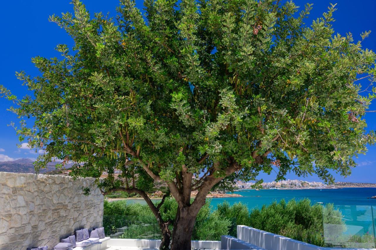 The Island Concept Luxury Boutique Hotel Heated Pool Agios Nikolaos Exterior foto
